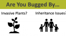 Are you bugged by forest pests? Invasive plants? Inheritance issues? Taxes? 