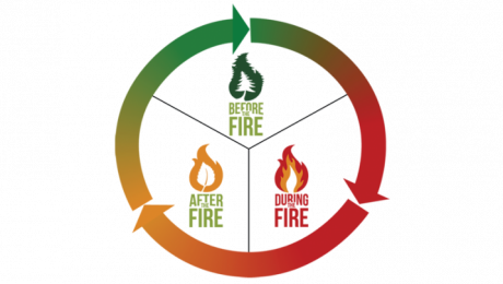 Wildfire prevention circle that illustrates the cyclical efforts of continuing to learn, adapt, and improve in all aspects of living with wildfire.