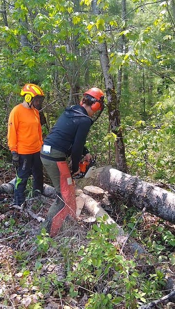 An instructor and student operate a chainsaw.