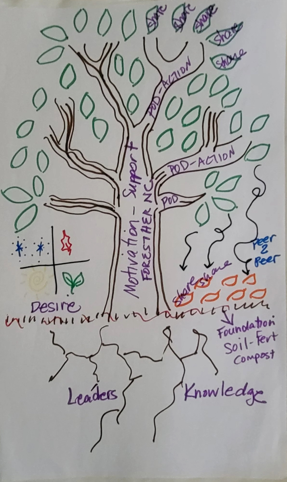 A sketch of a tree mapping out the future for ForestHer North Carolina.
