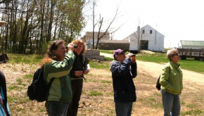 Women woodland owners at a Forestry for Maine Birds workshop