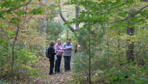 Women in a Forest