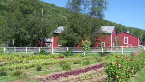 Barn and farmland