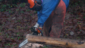 Running a chainsaw is more fun when it works well and you are safe!