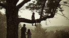 Children sitting in oak tree