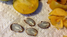 Persimmon seed spoons