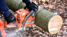 Individual using a chainsaw to cut a log into firewood. 