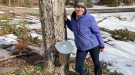 Laney Wilder standing next to a sugarbush tree she tapped for syrup.