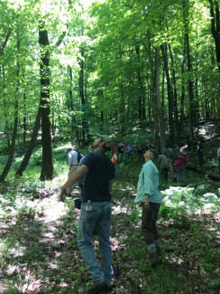Forest management from a landowner’s perspective