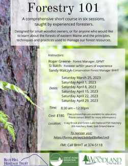 Forestry 101 flyer