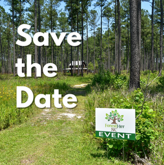 Save the date holder image