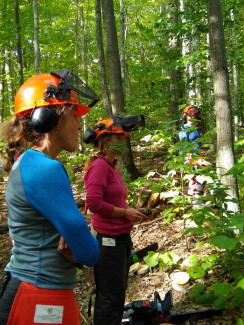 Women chainsaw course participants in the forest
