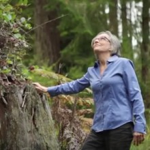 Family-Forest-Owner from University of California Forestry Extension private forest landowner video series