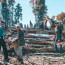 Three women with chainsaws haul logs in front of a log pile and machinery.